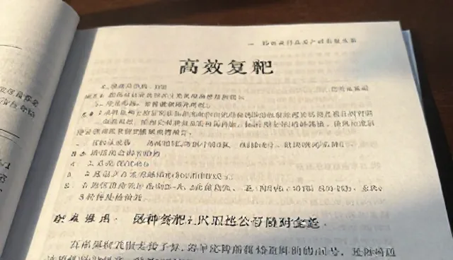 性能表现分析：品种选择建议与使用维护建议